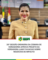 38ª Sessão Ordinária da Câmara de Vereadores aprova projeto da vereadora Luany Favacho sobre negócios de impacto