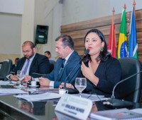 Adrianna Ramos propõe garantia de trabalho para ex-detentos.