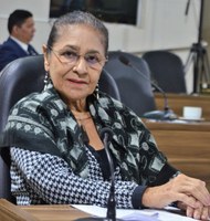 Aprovado Projeto de Lei de Janete Capiberibe que institui o Dia Municipal da Adoção