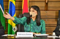 Audiência pública presidida por Adrianna Ramos debate a melhoria das cidades