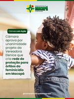 Câmara aprova por unanimidade projeto da Vereadora Elenice que cria rede de proteção para órfãos do feminicídio em Macapá