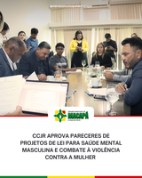 CCJR aprova pareceres de Projetos de Lei para saúde mental masculina e combate à violência contra a mulher 