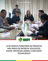 CCJR aprova pareceres de projetos nas áreas de infância, educação, saúde, proteção animal e inovação tecnológica