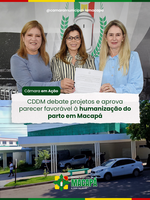 CDDM debate projetos e aprova parecer favorável à humanização do parto em Macapá