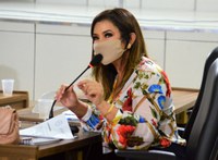 CMM aprova PL de Maraína Martins que altera a regulamentação para atividades econômicas na capital