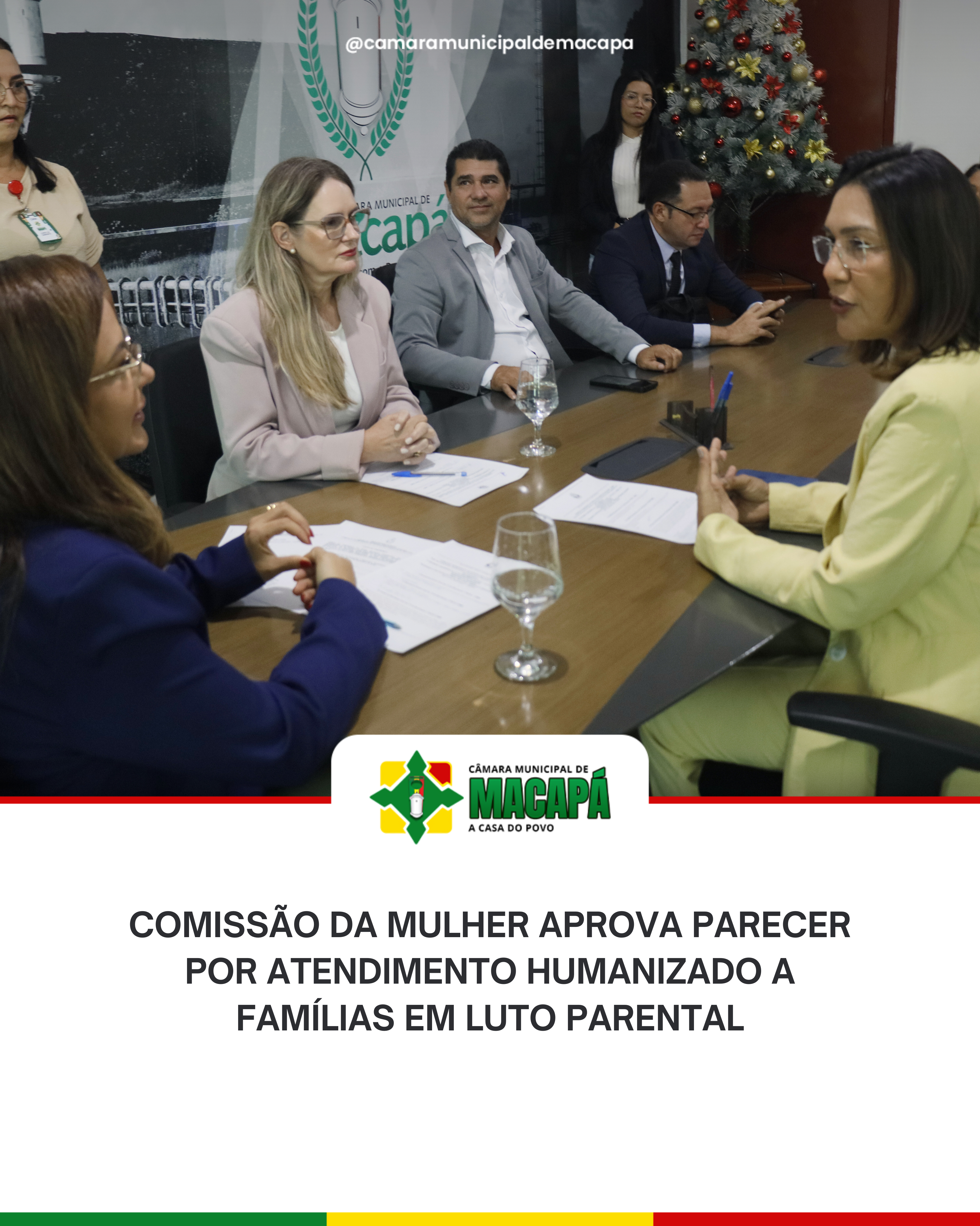 Comissão da Mulher aprova parecer por Atendimento Humanizado a famílias em luto parental.