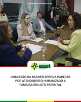 Comissão da Mulher aprova parecer por Atendimento Humanizado a famílias em luto parental.
