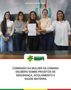 Comissão da Mulher da Câmara delibera sobre projetos de segurança, acolhimento e saúde materna