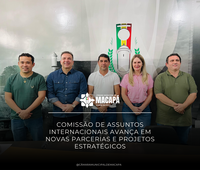 Comissão de Assuntos Internacionais avança em novas parcerias e projetos estratégicos