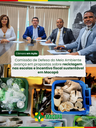 Comissão de Defesa do Meio Ambiente avança em propostas sobre reciclagem nas escolas e incentivo fiscal sustentável em Macapá