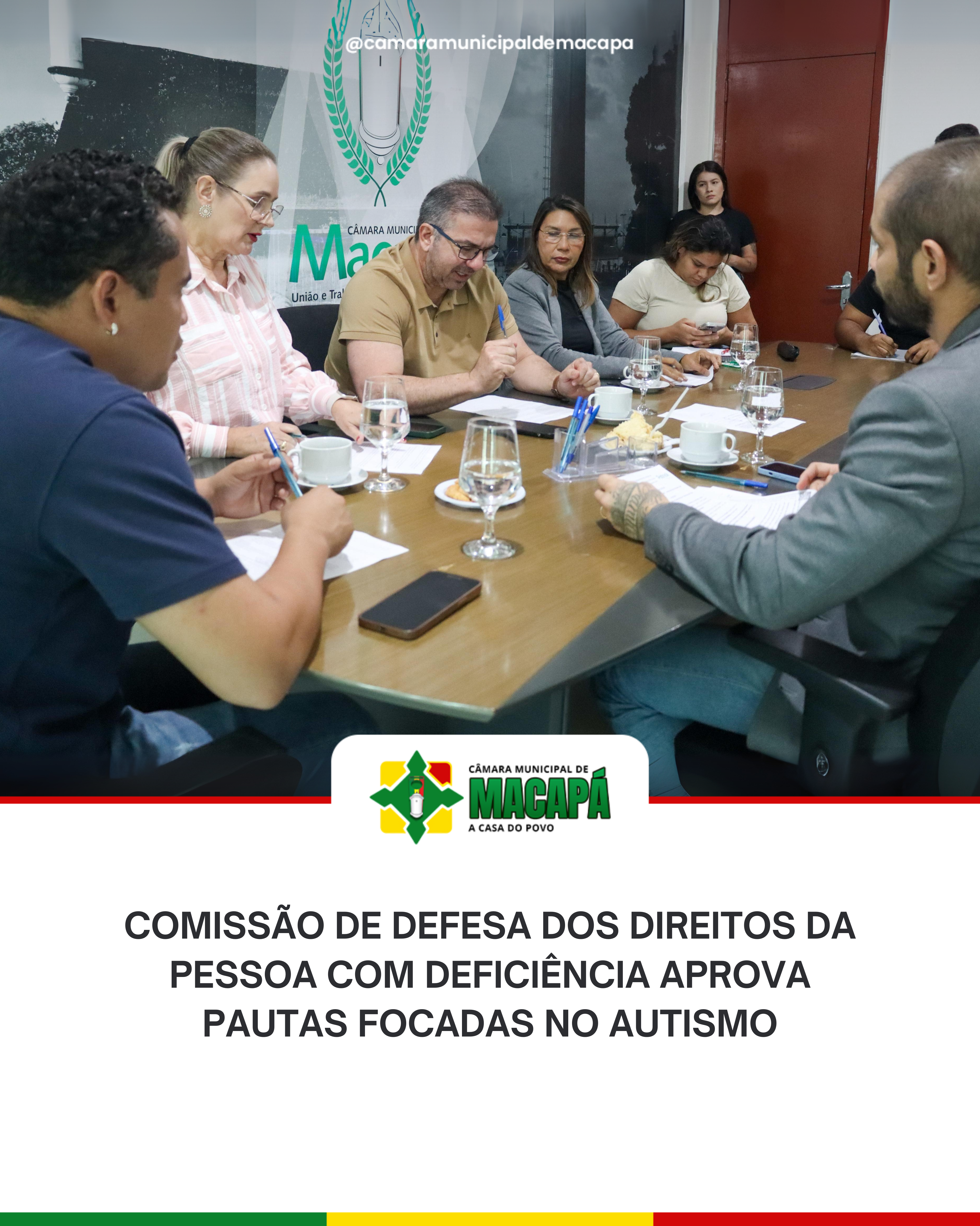 Comissão de Defesa dos Direitos da Pessoa com Deficiência aprova pautas focadas no autismo