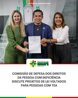 Comissão de Defesa dos Direitos da Pessoa com Deficiência discute Projetos de Lei voltados para pessoas com TEA