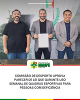 Comissão de Desporto aprova parecer de lei que garante uso semanal de quadras esportivas para pessoas com deficiência