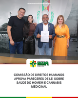 Comissão de Direitos Humanos aprova pareceres de lei sobre saúde do homem e cannabis medicinal