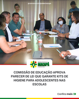 Comissão de Educação aprova parecer de lei que garante kits de higiene para adolescentes nas escolas