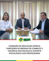 Comissão de Educação aprova pareceres de medidas de combate à violência nas escolas e suporte psicológico aos professores