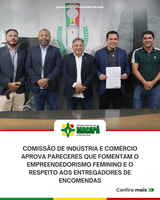 Comissão de Indústria e Comércio aprova pareceres que fomentam o empreendedorismo feminino e o respeito aos entregadores de encomendas