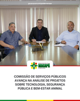 Comissão de Serviços Públicos avança na análise de projetos sobre tecnologia, segurança pública e bem-estar animal