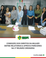 Comissão dos Direitos da Mulher define relatorias e aprova pareceres na 3ª Reunião Ordinária