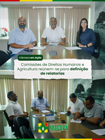 Comissões de Direitos Humanos e Agricultura reúnem-se para definição de relatorias