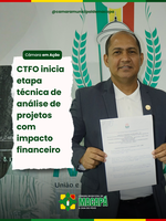 CTFO inicia etapa técnica de análise de projetos com impacto financeiro