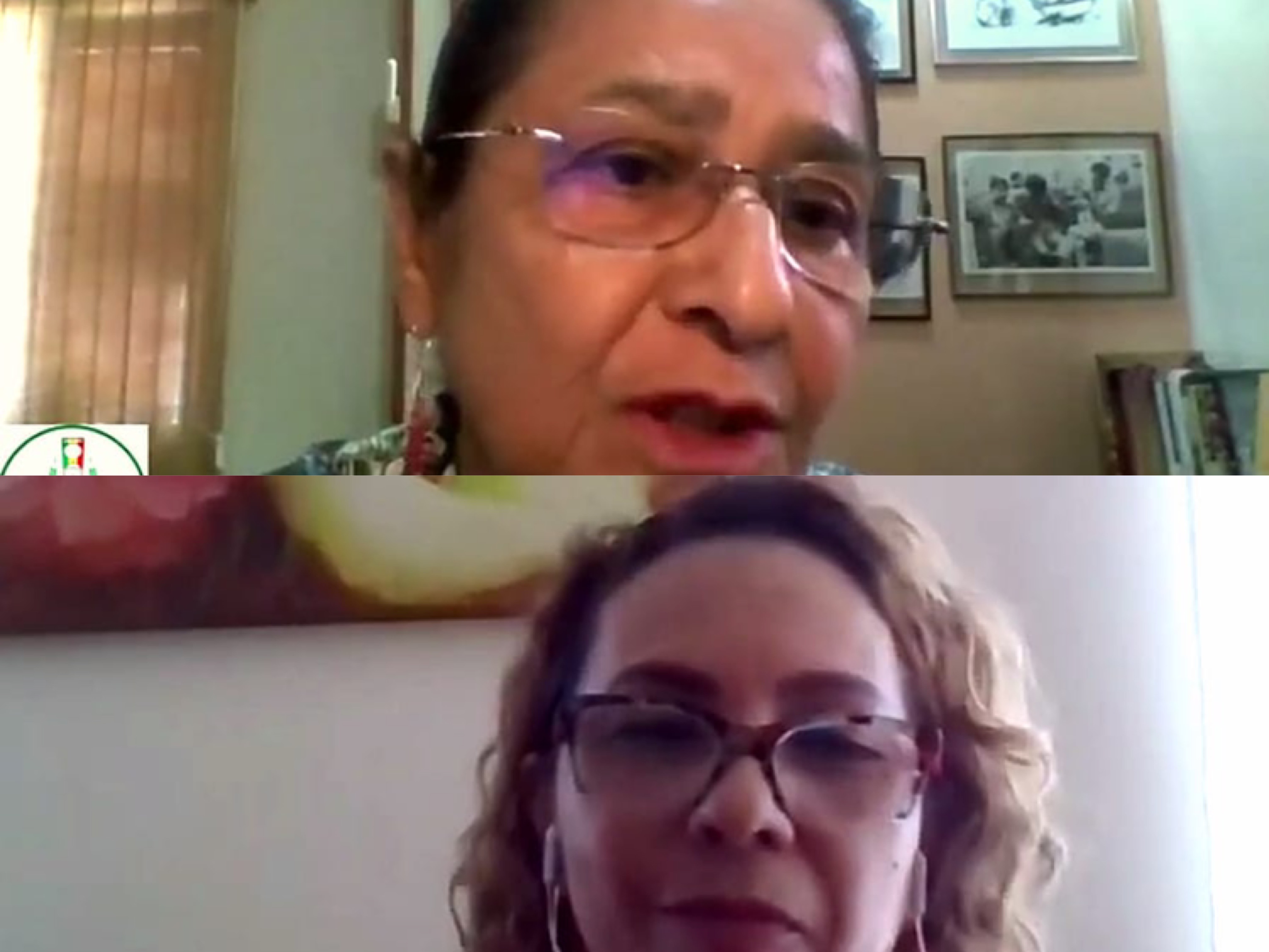 Janete Capiberibe leva a tribuna da CMM debate sobre adoção em Macapá