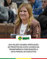 Léia Pelaes celebra aprovação de projetos na CCJR e avanço na transparência com rejeição a veto parcial do Executivo