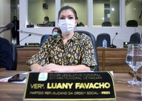Luany Favacho solicita revitalização de passarelas no Jardim I e Laurindo Banha