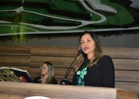 Melhoria do protocolo de atendimento neonatal é debatida na Câmara de Vereadores.