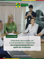 Pareceres aprovados na CCJR fortalecem iniciativas de empreendedorismo e apoio às mulheres