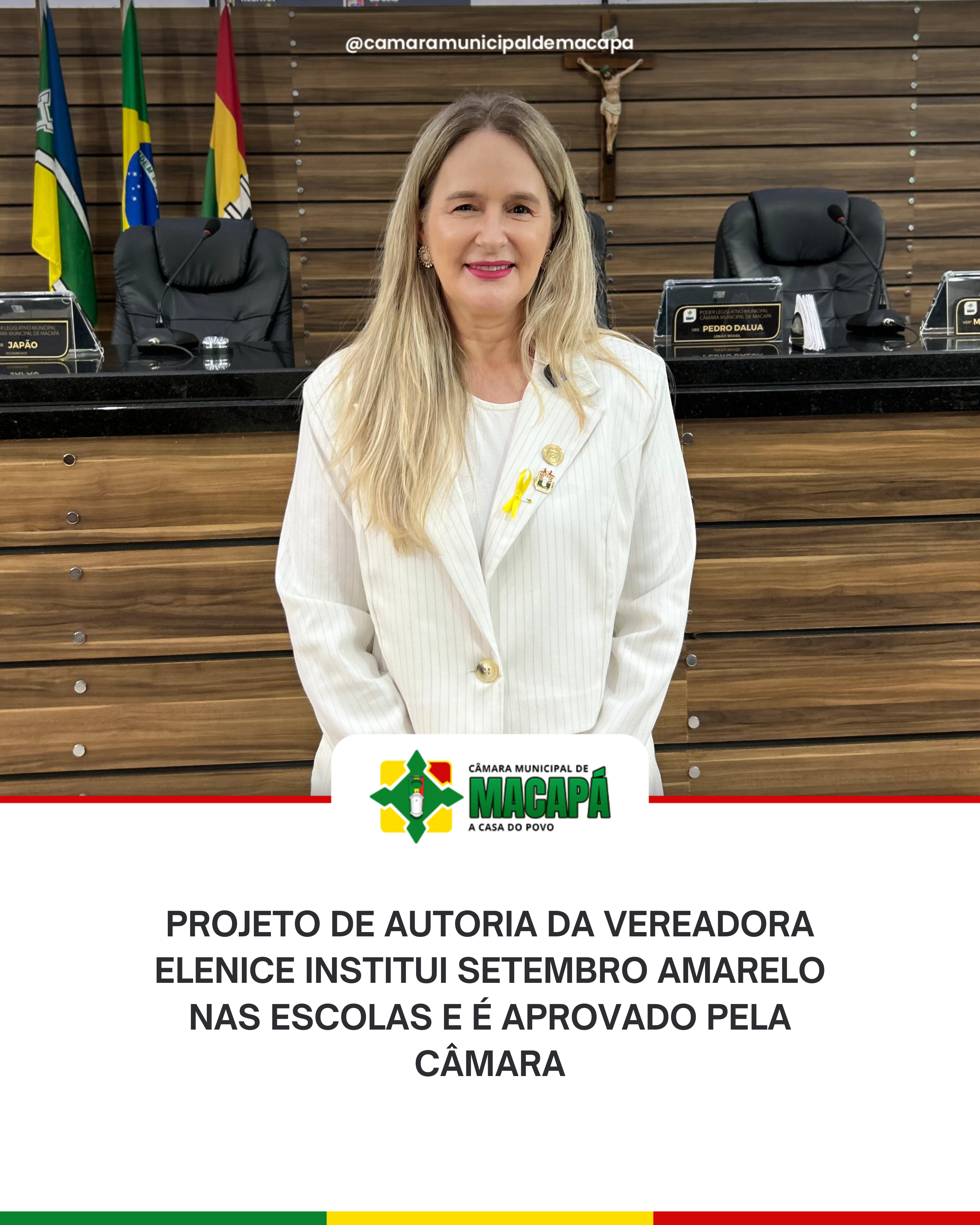 Projeto de autoria da vereadora Elenice institui Setembro Amarelo nas escolas e é aprovado pela Câmara