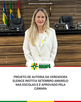 Projeto de autoria da vereadora Elenice institui Setembro Amarelo nas escolas e é aprovado pela Câmara