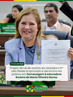 Projeto de Lei de autoria da vereadora Prª Léia Pelaes é aprovado e denomina via pública em homenagem à educadora Rosiere de Maria Oliveira Nunes