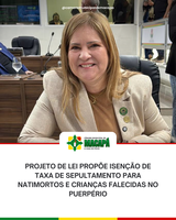 Projeto de Lei propõe isenção de taxa de sepultamento para natimortos e crianças falecidas no puerpério