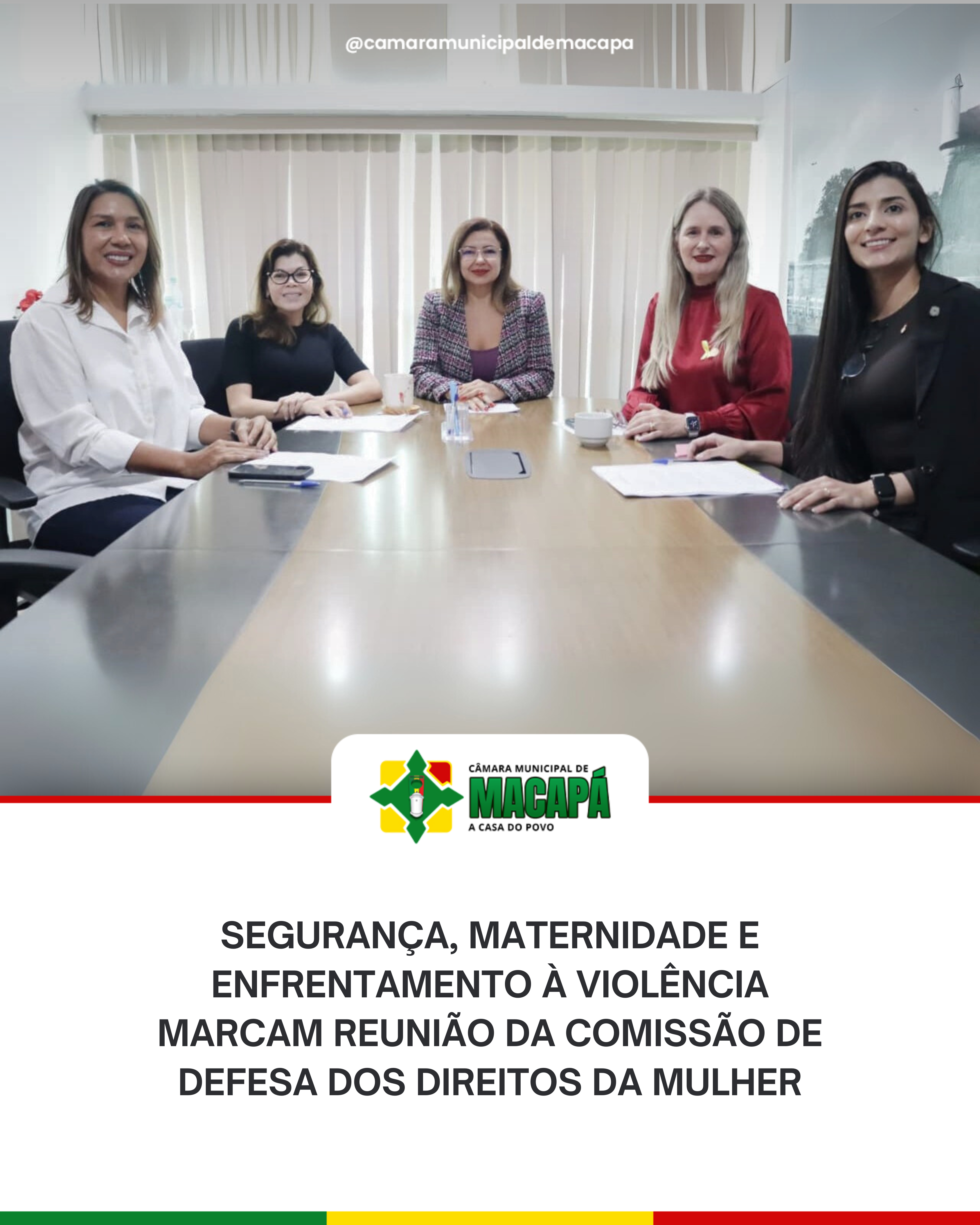 Segurança, maternidade e enfrentamento à violência marcam reunião da Comissão de Defesa dos Direitos da Mulher