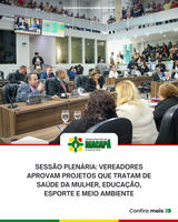 Sessão Plenária: vereadores aprovam projetos que tratam de saúde da mulher, educação, esporte e meio ambiente