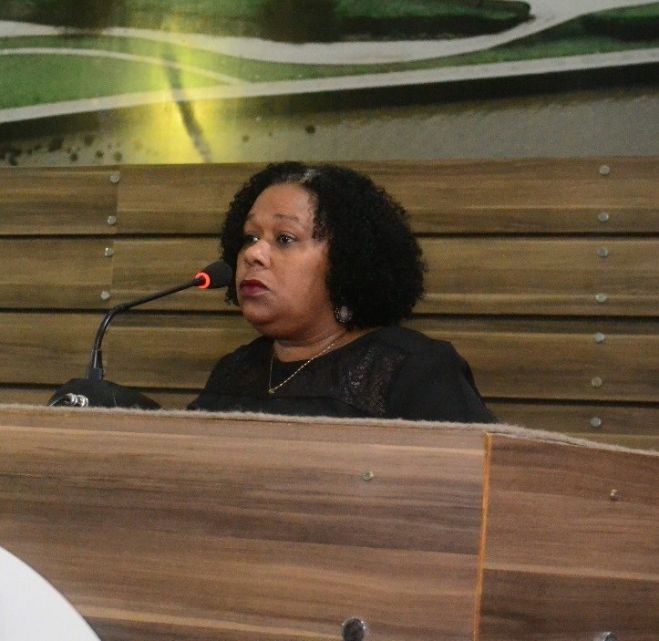 Tribuna da Câmara de Vereadores recebe representantes da comunidade.