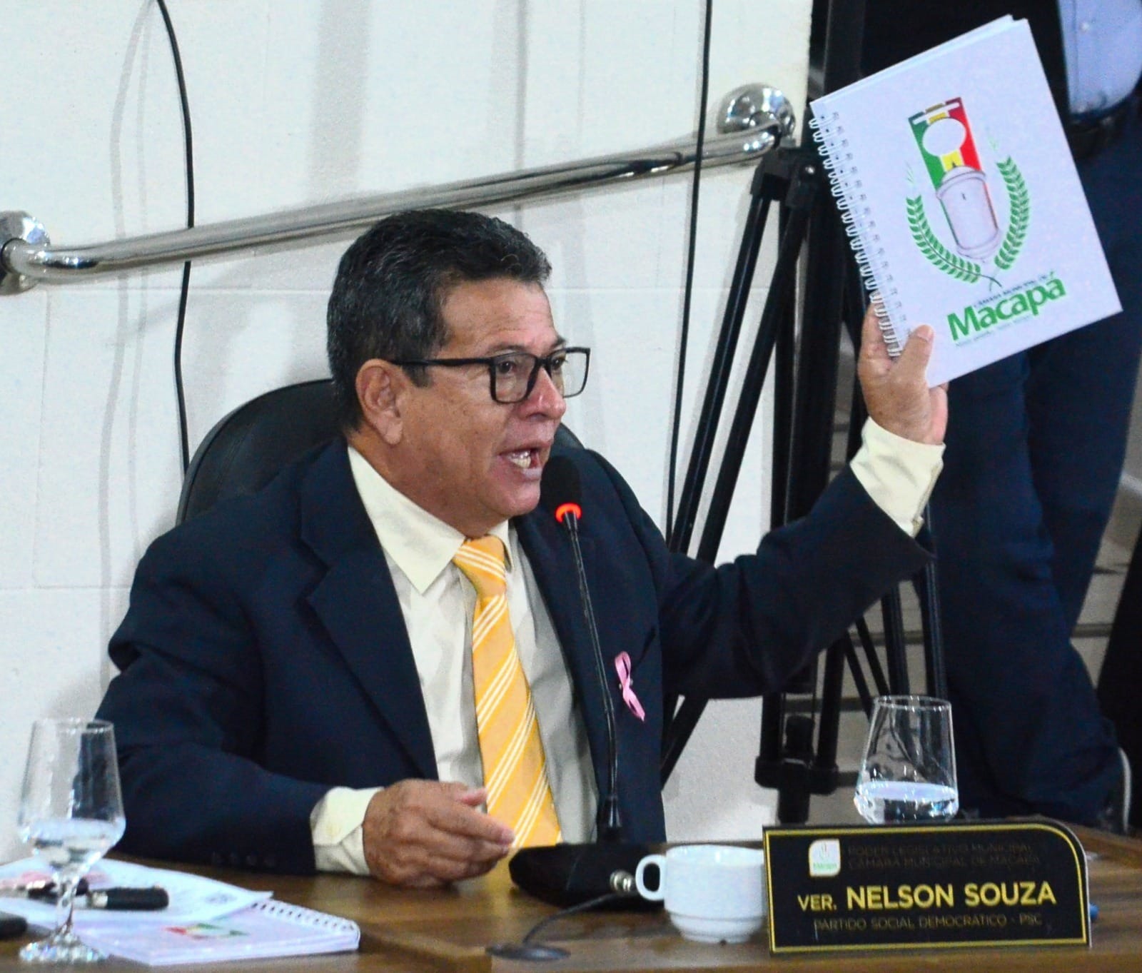 Vereador Nelson Souza tem PL aprovado que institui o Dia da Merendeira Escolar