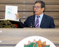 Vereador Nelson Souza usa a Tribuna para falar da geração de emprego em Macapá