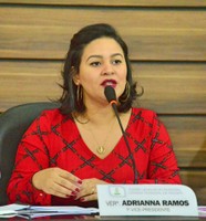 Vereadora Adrianna Ramos aponta problemas na capital e encaminha pedidos de soluções