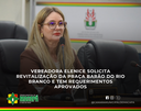 Vereadora Elenice solicita revitalização da Praça Barão do Rio Branco e tem requerimentos aprovados