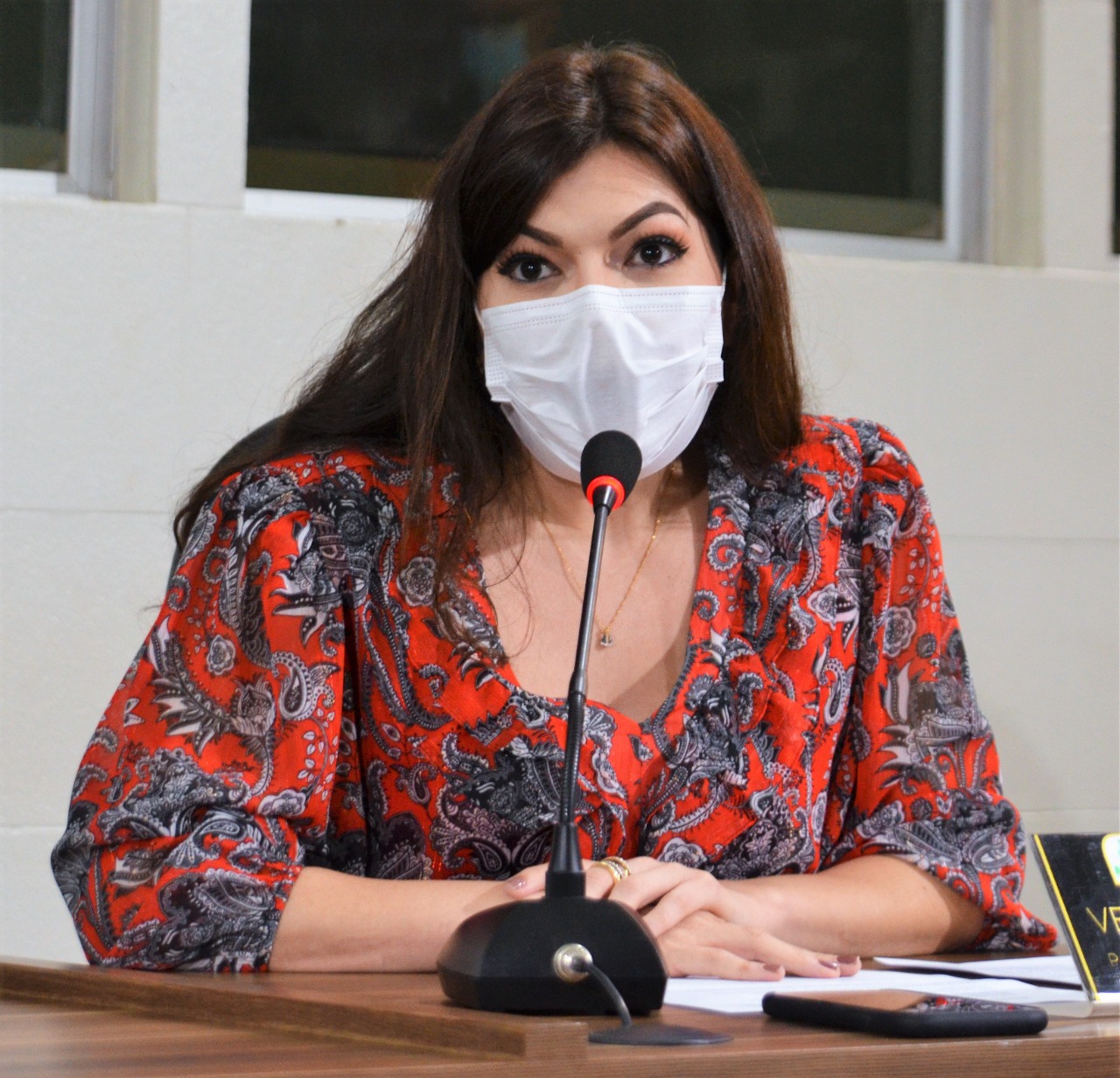 Vereadora Luany Favacho apresenta Projeto de Lei sobre regras para inserir Macapá ao modelo Smart Cities