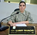 Vereadora Luany Favacho pede sinalização para vias públicas de vários bairros de Macapá