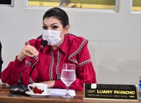 Vereadora Luany Favacho requer asfaltamento em ruas do Bairro Universidade