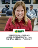 Vereadora Pra. Léia Pelaes apresenta requerimentos para melhorias no bairro Fazendinha