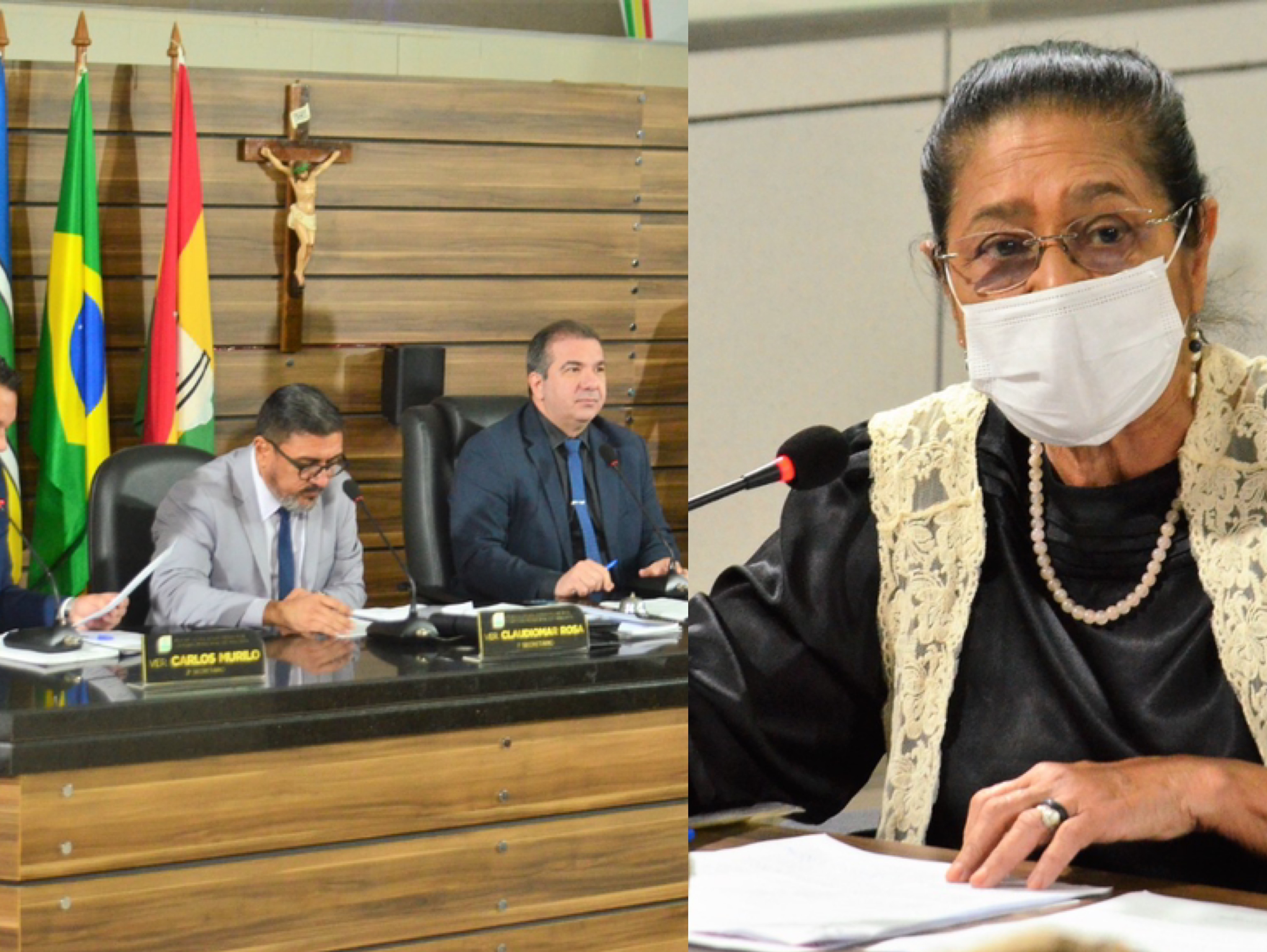 Vereadores derrubam veto de Furlan para a criação de Memorial Virtual das vítimas da pandemia