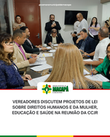 Vereadores discutem projetos de lei sobre direitos humanos e da mulher, educação e saúde na reunião da CCJR