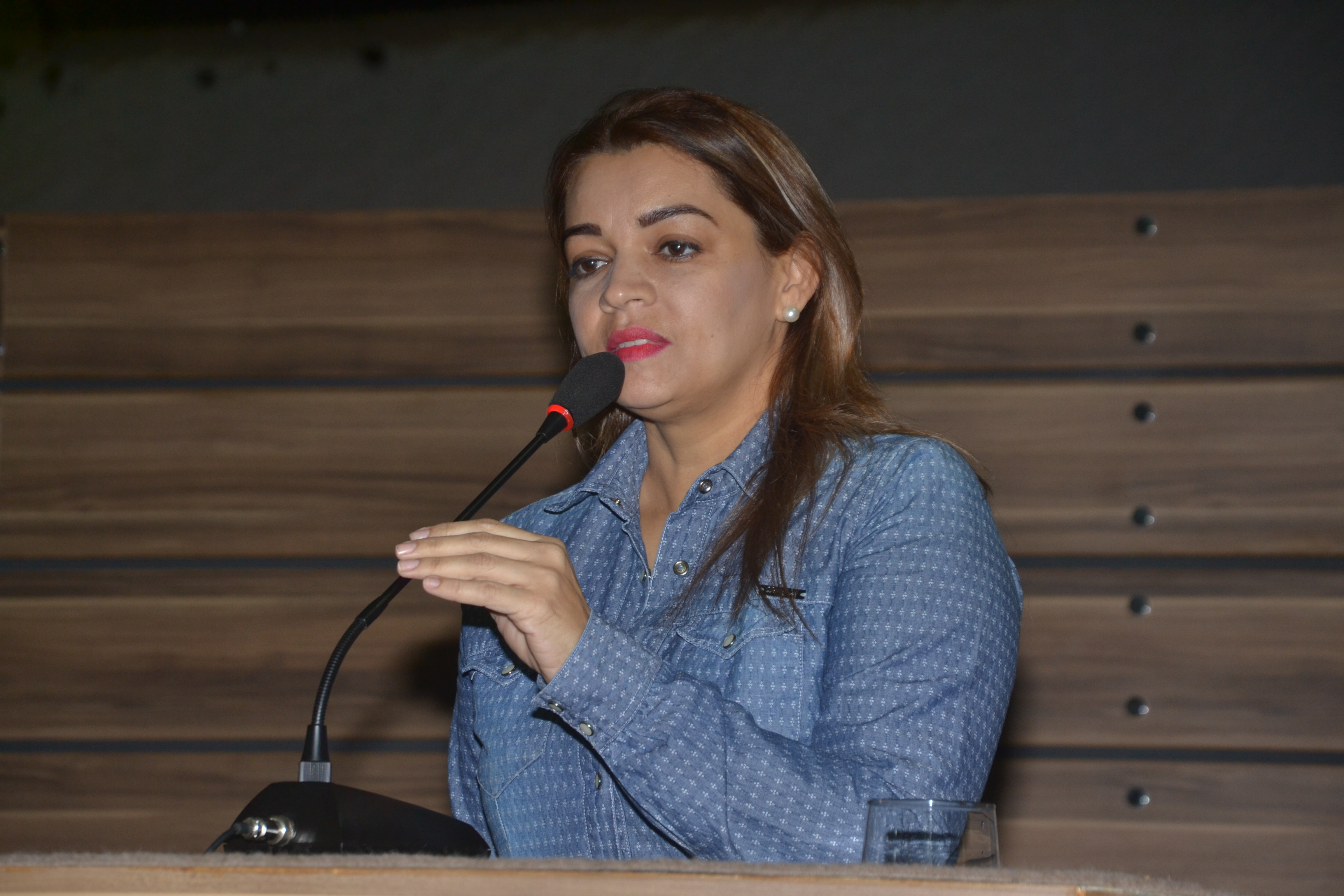 Vereadores pedem melhorias para a região de São Joaquim do Pacuí